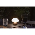 P513.749__M_400.jpg
