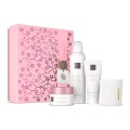 1118454-rituals-sakura-gift-set-m-pack-closed_4-by-3 kopia.jpg