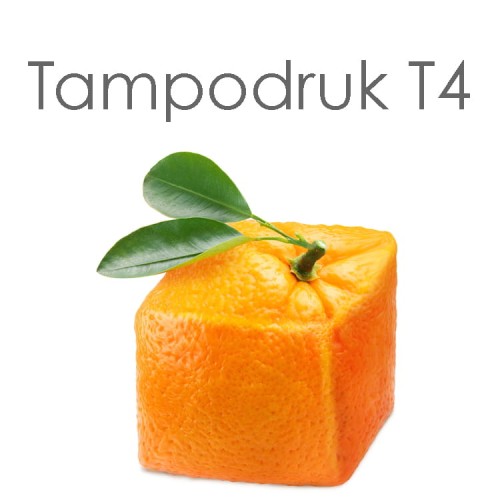 T4.jpg