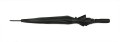 37036-02_b.jpg