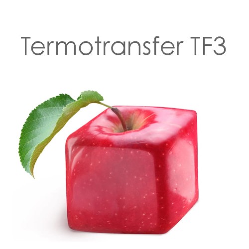 TF3.jpg