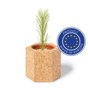Korkowa doniczka, nasiona sosny V0915-00 /kolor: neutralny/
