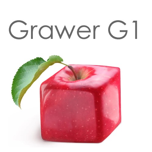 G1.jpg