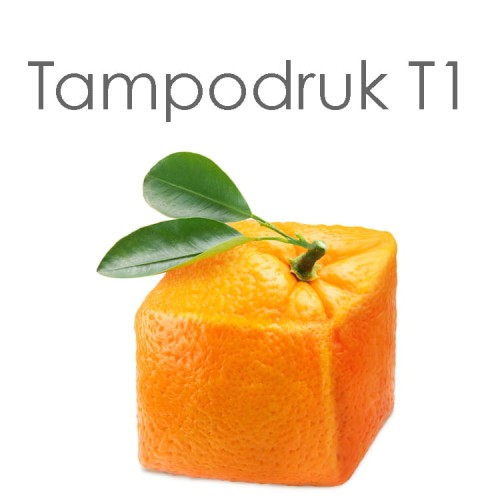 T1.jpg
