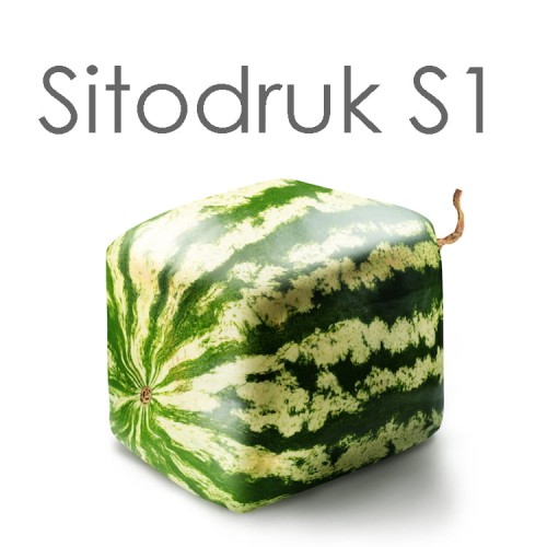 S1.jpg